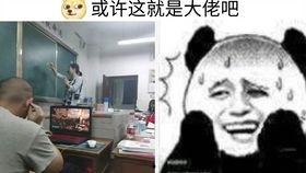 卧槽视频在线观看,带你领略网络奇观，笑出腹肌的瞬间