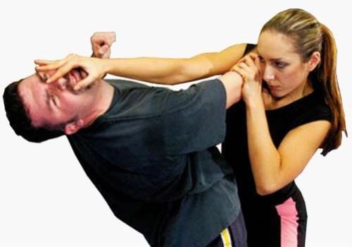 合欢椅视频,见证爱情与历史的永恒见证