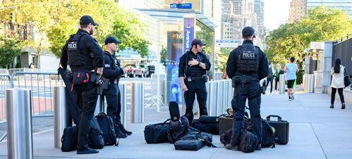 托古特视频,揭秘历史与现代的交融魅力