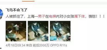 男女恶心视频,网络恶俗内容的反思与警示